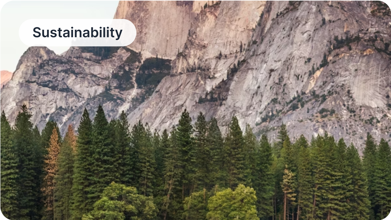 Sustainable Photography Practices
